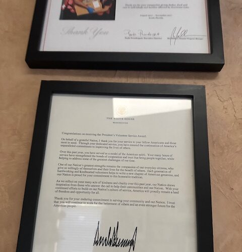 Cindy Imperato Gallery