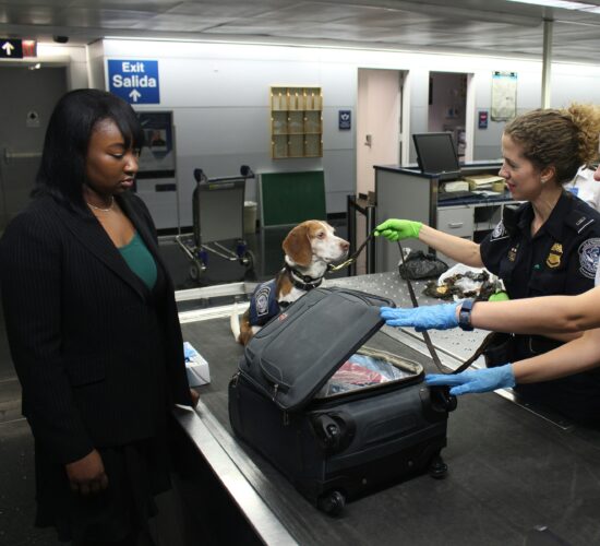 Cynthia Imperato:Female Police Officers